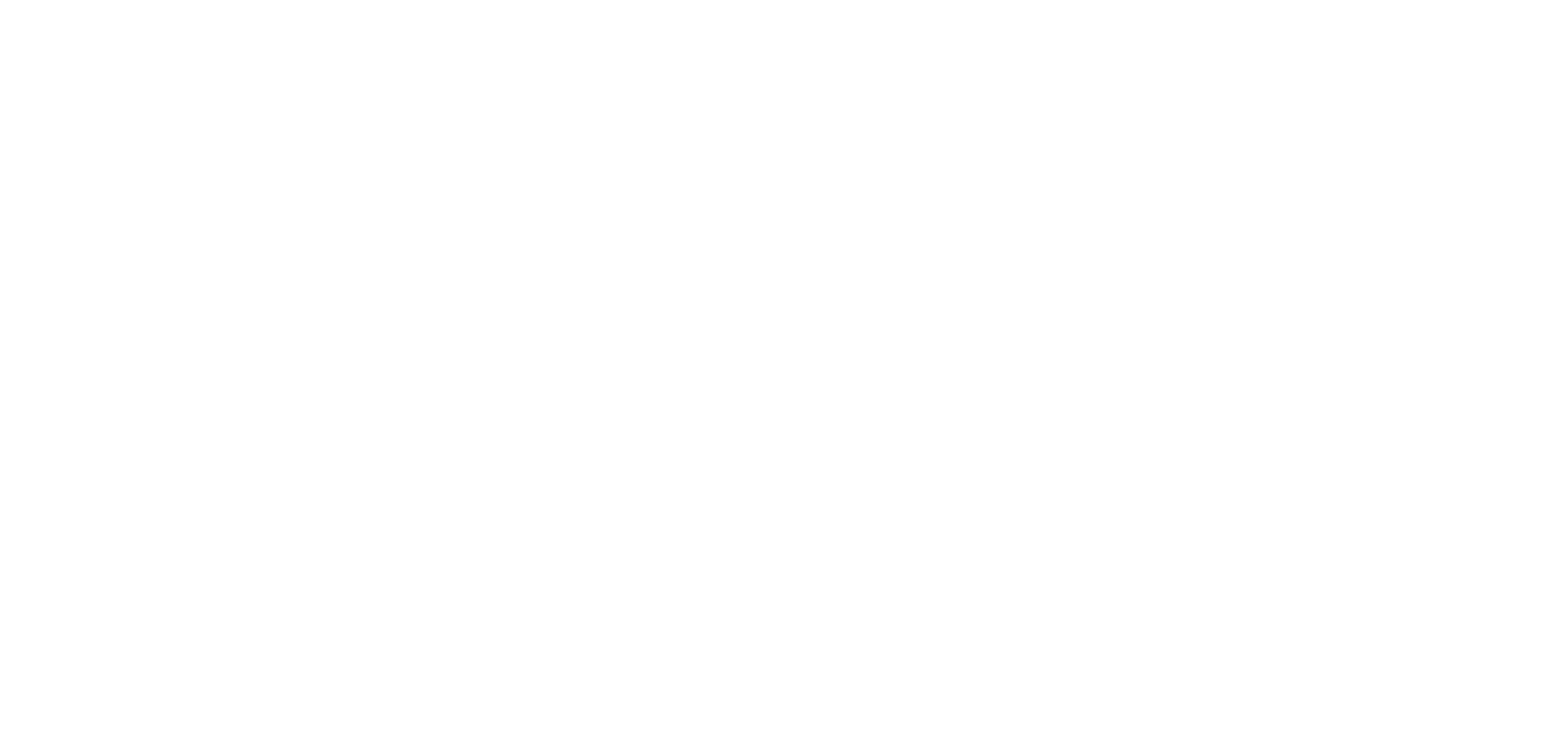 partner_chooligan